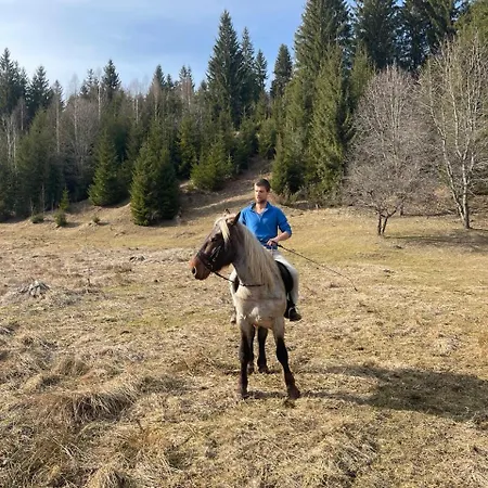 Ananda Space аренда будинку у ретритному центрі карпати Casa vacanze *